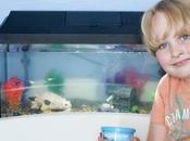 Setting Home Aquarium