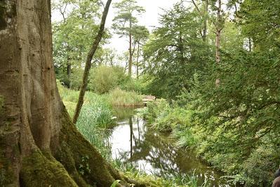 An Afternoon at The Newt in Somerset