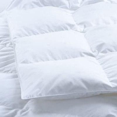 Lavish Comforts Duvet Insert Review