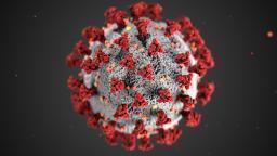 What you need to know about coronavirus on Friday, September 25