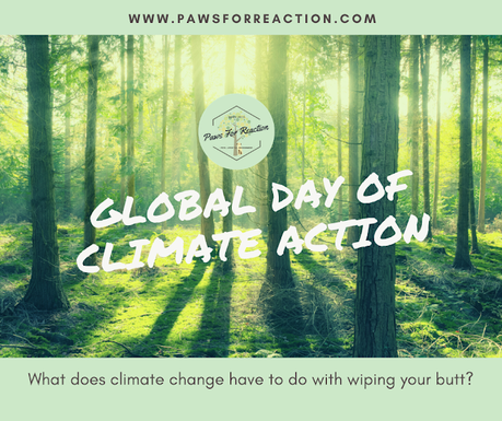 September 25 is a Global Day for Climate Action: What does that have to do with toilet paper?