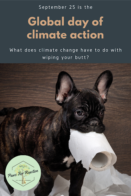 What does climate change have to do with wiping your butt?