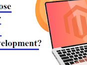 Choose Magento eCommerce Website Development?