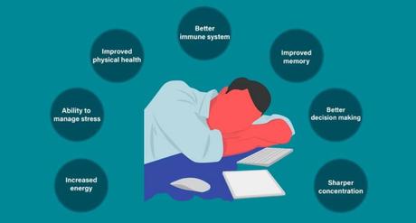 Why You Need to Adopt Uberman Sleep Cycle