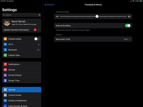 How to Connect a Mouse to Your iPad