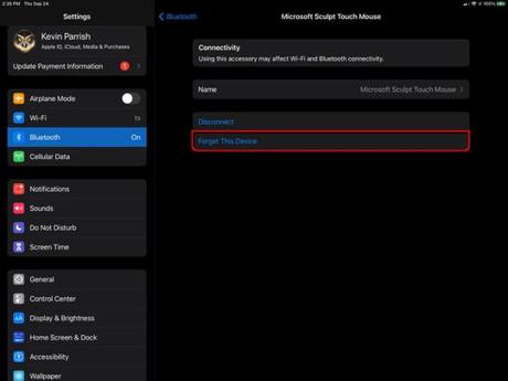 How to Connect a Mouse to Your iPad