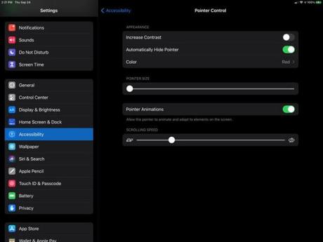 How to Connect a Mouse to Your iPad