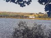 Project Week Almost October