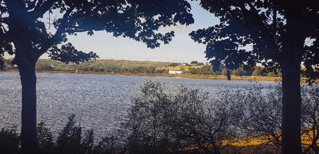 Project 366 Week 39 – Almost October Project 366 Week 39 – Almost October