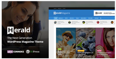 WordPress Flat Themes