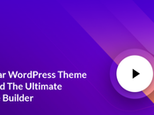 Best Selling WordPress Flat Themes