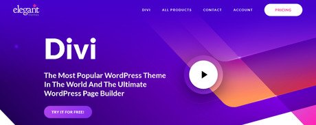 divi theme