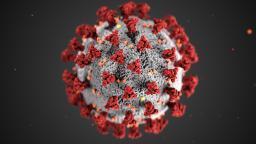 Trump announces plan to deploy 150 million Covid rapid tests previously touted Trump announces plan to deploy 150 million Covid rapid tests previously touted