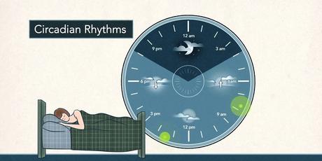 How sleep affects the immune system