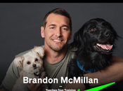 Brandon McMillan Training Masterclass Review 2020 Should Join