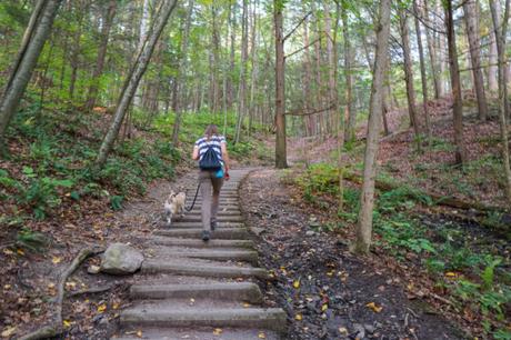 Hiking at the Gorgeous Robert H. Treman State Park Near Ithaca