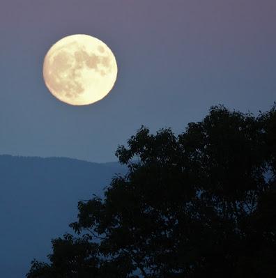 Almost Full Moon--and Some Thoughts on Tuesday Night's Reality Show