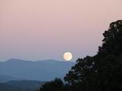 Almost Full Moon--and Some Thoughts Tuesday Night's Reality Show