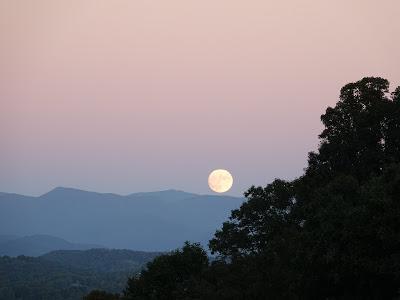 Almost Full Moon--and Some Thoughts on Tuesday Night's Reality Show