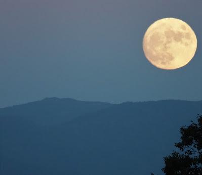 Almost Full Moon--and Some Thoughts on Tuesday Night's Reality Show