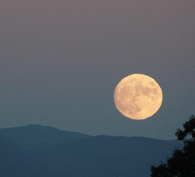 Almost Full Moon--and Some Thoughts on Tuesday Night's Reality Show