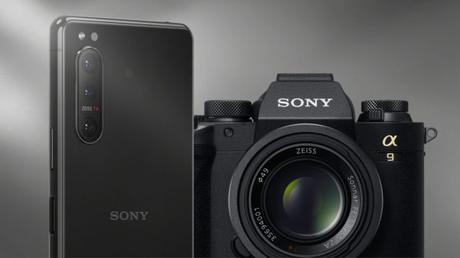 Everything you need to know about this compact powerhouse