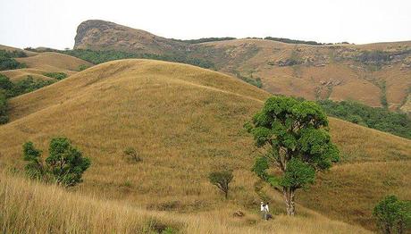 5 Best Places To Visit In Chikmagalur In May On Your Next Trip To Karnataka