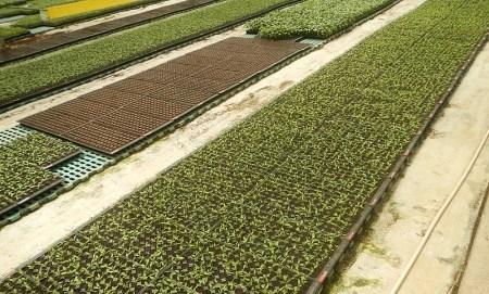 10 Basic Gardening Tools Ever You Need for Easy Gardening 10 Basic Gardening Tools Ever You Need for Easy Gardening