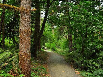 HIKING IN THE THURSTON HILLS NATURAL AREA NEAR EUGENE, OREGON Guest Post by Caroline Hatton at The Intrepid Tourist