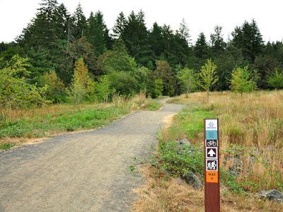 HIKING IN THE THURSTON HILLS NATURAL AREA NEAR EUGENE, OREGON Guest Post by Caroline Hatton at The Intrepid Tourist