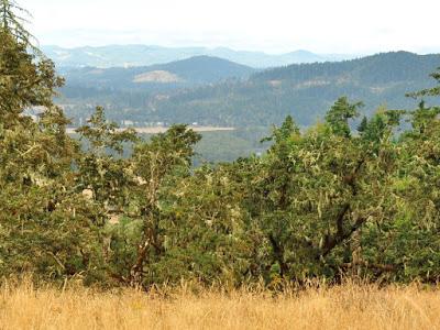 HIKING IN THE THURSTON HILLS NATURAL AREA NEAR EUGENE, OREGON Guest Post by Caroline Hatton at The Intrepid Tourist