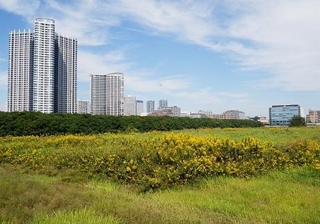 Do You Want to Buy Vacant Land? Take Note of These Dos and Don’ts