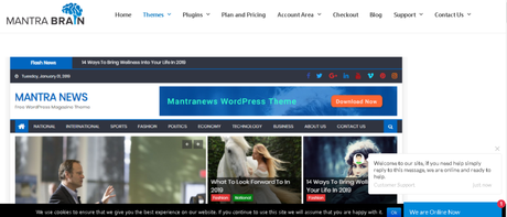 Free WordPress News Themes