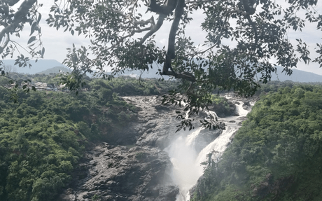 Photoessay: The spectacular beauty of Gaganachukki and Bharachukki Falls