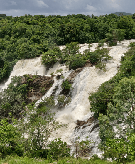 Photoessay: The spectacular beauty of Gaganachukki and Bharachukki Falls