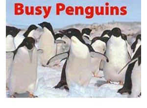 best baby books 2020 busy penguins
