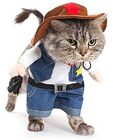 Halloween Costumes for Cats? Count me in! Halloween Costumes for Cats? Count me in!