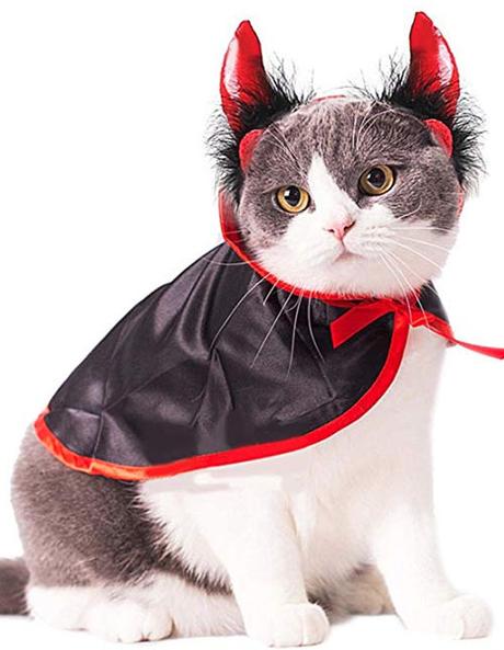 Halloween Costumes for Cats? Count me in! Halloween Costumes for Cats? Count me in!