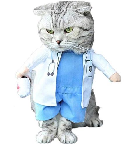 Halloween Costumes for Cats? Count me in! Halloween Costumes for Cats? Count me in!
