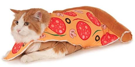 Halloween Costumes for Cats? Count me in! Halloween Costumes for Cats? Count me in!