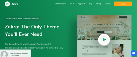  WordPress  zakra Themes for Business