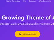 Free WordPress Themes Business