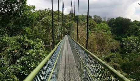 10 Gorgeous Bridges In Singapore That You Must Visit In 2020