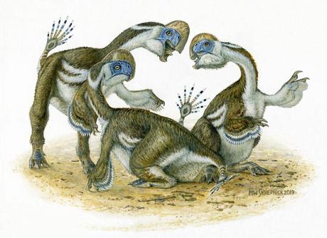 Newly discovered dinosaur species had one less finger than its relatives