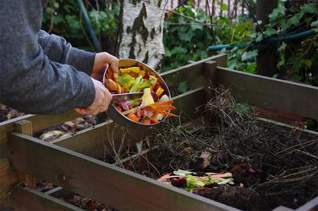 How to make compost in your backyard