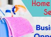 Home Cleaning Services Businesses Opportunities Aplenty!