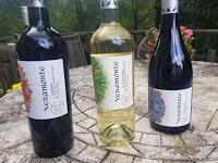 Organic Wines from Chile's Veramonte Vineyards