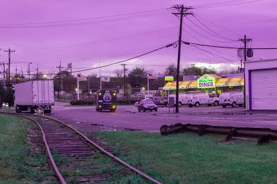 Friday Fotos: It's a purple world [then along came Matisse]