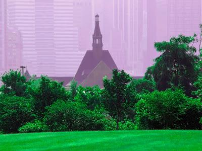 Friday Fotos: It's a purple world [then along came Matisse]