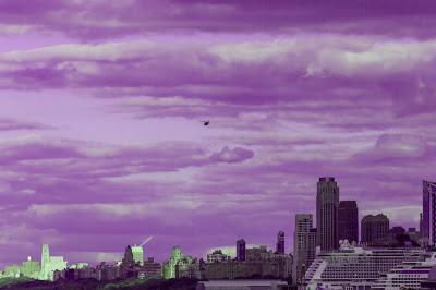 Friday Fotos: It's a purple world [then along came Matisse]